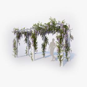 Wisteria Collection 01